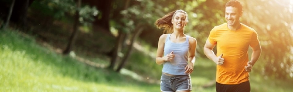 shutterstock_441441235